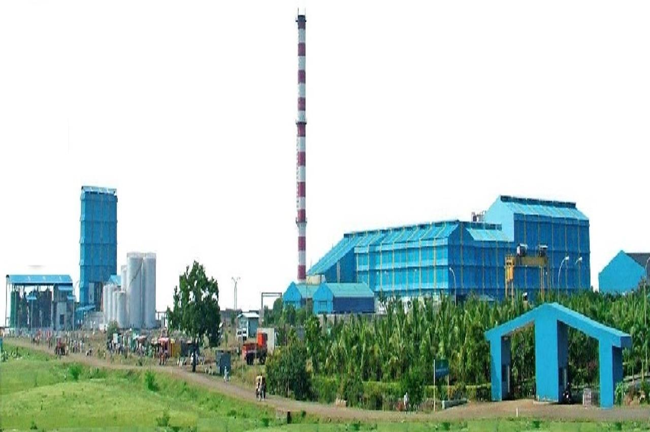 resized sugar plant 1280x850.jpg
